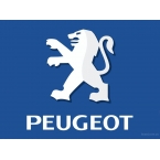 Инструмент Peugeot